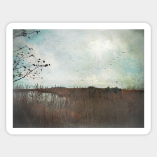 Marshland Calm Sticker